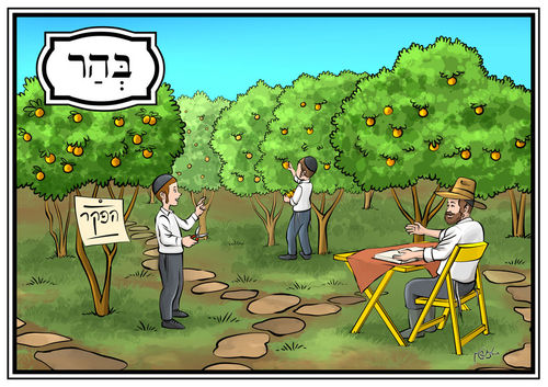 ערכת חומש ויקרא