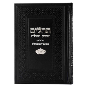 ספר תהילים צ