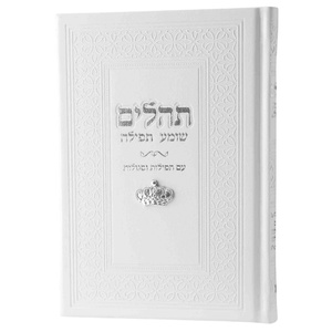 ספר תהילים צ