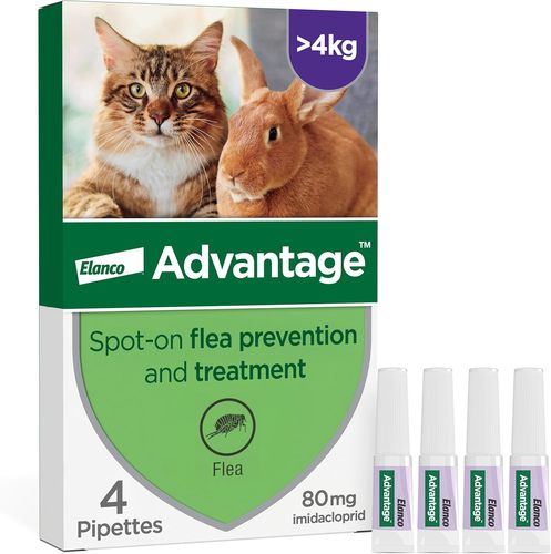 Advantage אמפולות - טיפול בפרעושים וקרציות לחתולים