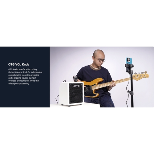 מגבר בס JOYO BA-30 VIBE CUBE 30W קומפקטי עם רמקול 4 אינץ' ורדיאטור פסיבי