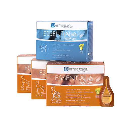 דרמוסנט אסנשיאל Essential6 טיפות לכלבים קטנים