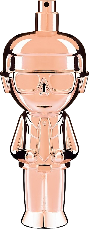 Karl Lagerfeld Karl Ikonik Pour Femme