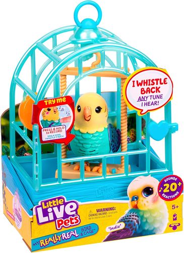 Little Live Pets: בובת תוכי אינטראקטיבי מקליט ומשמיע, מגיב למגע עם למעלה מ 20 צלילים ותגובות - תכלת/צהוב