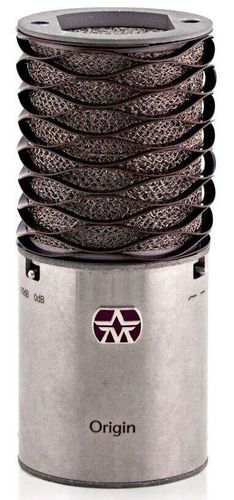 זוג מיקרופונים ORIGIN עם מגני רוח וחנוכיה מבית ASTONMICS