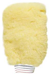  WASH MITT