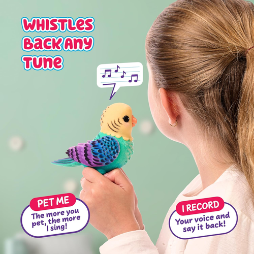 Little Live Pets: בובת תוכי אינטראקטיבי מקליט ומשמיע, מגיב למגע עם למעלה מ 20 צלילים ותגובות - תכלת/צהוב