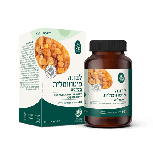 ברא שרף לבונה פיטוזומלי 60 כמוסות | Boswellia Serrata Pytosome