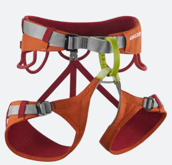 רתמת טיפוס - JAY מבית EDELRID