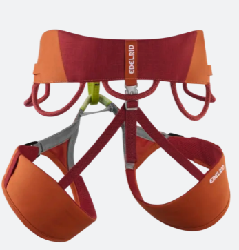 רתמת טיפוס - JAY מבית EDELRID