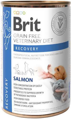 בריט רפואי שימורים רפואיים לכלב וחתול BRIT RECOVERY