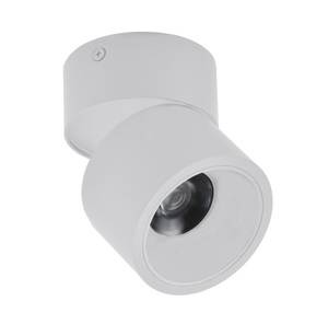 צילינדר מתכוונן CCT 12W Flex לבן (SHAPE-1) LEDON