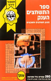 ספר התשחצים הענק מס 208 לידור
