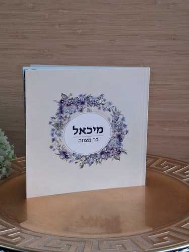 תיאור התמונה