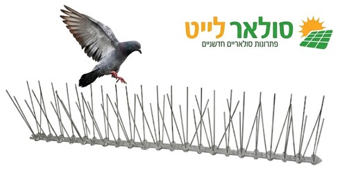 דוקרנים נגד יונים
