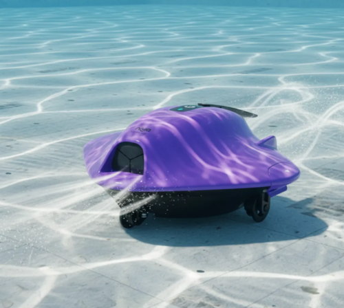 Niya Sonar Ray