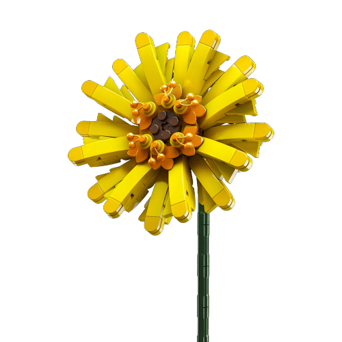 דגם הרכבה Jbricks 150703 Barberton Daisy Flower 