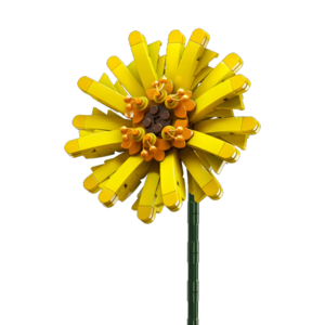 דגם הרכבה Jbricks 150703 Barberton Daisy Flower