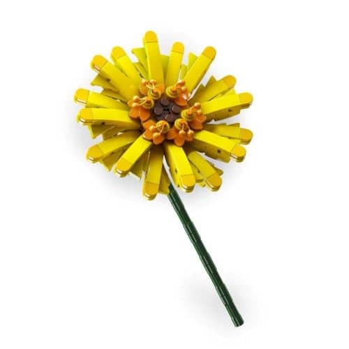 דגם הרכבה Jbricks 150703 Barberton Daisy Flower 