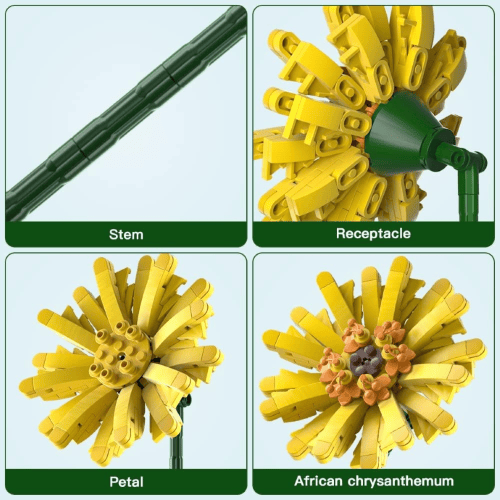 דגם הרכבה Jbricks 150703 Barberton Daisy Flower 