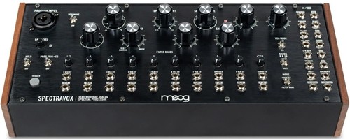 Moog Spectravox זווית 1