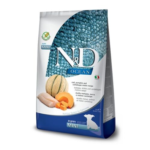 ND אושן דלעת מלון גורים מיני 2.5kg