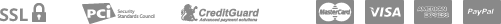 payment_icon