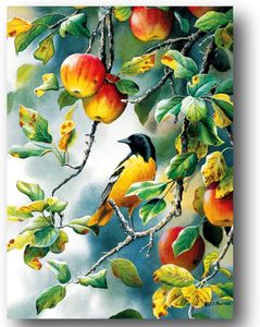 Cobble Hil - Northern Oriole (1000 חלקים)