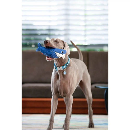 רד דינגו Red Dingo צעצוע עמיד לכלב כריש