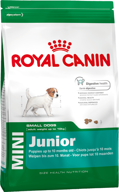 royal canin junior small
