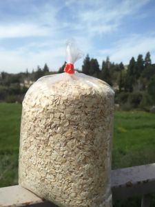 קוואקר עבה אורגני 500 גרם