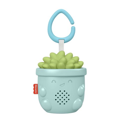 Fisher-Price - מרגיע וסוקולנטי
