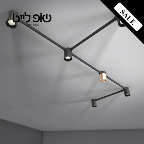 גוף תאורה תקרה SPLIT