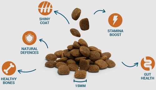 דיווינוס פרפורמנס (Performance) – מזון סופר פרימיום לכלבים פעילים ואנרגטיים - 20 ק
