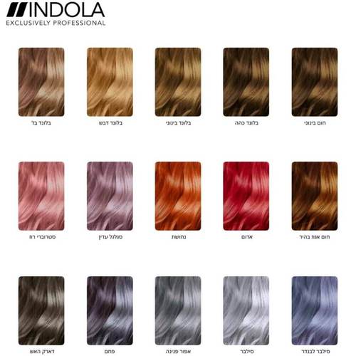 מוס צבע זמני לשיער COLOR STYLE MOUSSE במגוון צבעים אינדולה 200 מ