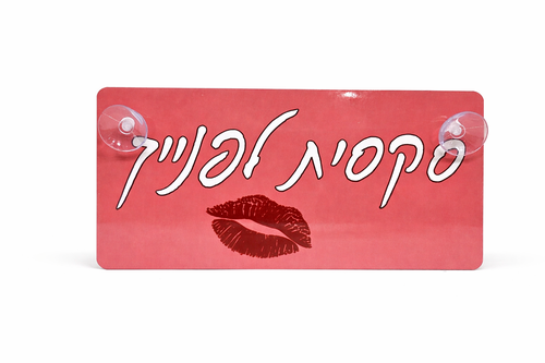 שלט לרכב