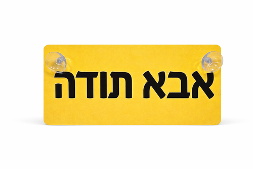 שלט לרכב