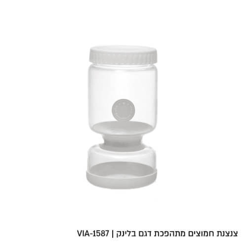 צנצנת זכוכית לחמוצים