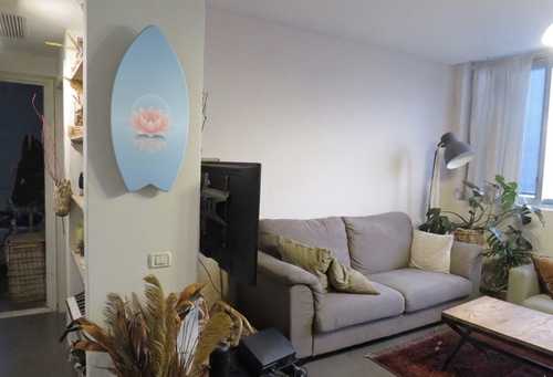 בלאנס בורד KYDO FlowBoard Pink Lotus 