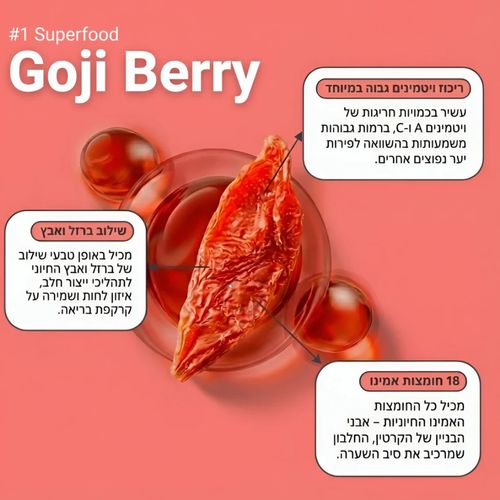 מארז פרימיום - אנרג'ייזר גדול שמפו + אמפולות לחיזוק השיער PROBERRY פרוברי 