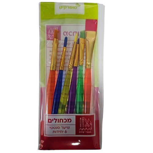 סט 6 מכחולים סינטטיים צבעוניים ליצירה