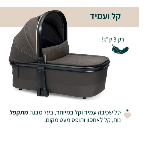 מהדורה מיוחדת: מיסה MYSA עגלת תינוק פרימיום דו-כיוונית - ברונזה ליזארד