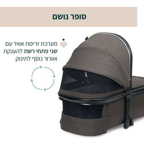 מהדורה מיוחדת: מיסה MYSA עגלת תינוק פרימיום דו-כיוונית - ברונזה ליזארד