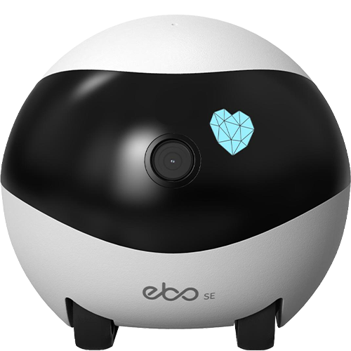 רובוט מצלמה ידידותי לבע