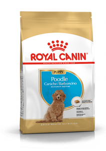 רויאל קנין פודל פאפי 3 ק"ג (Royal Canin Poodle Puppy)