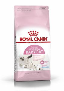 רויאל קנין בייבי קט, לחתול 4 ק"ג Royal canin Baby cat