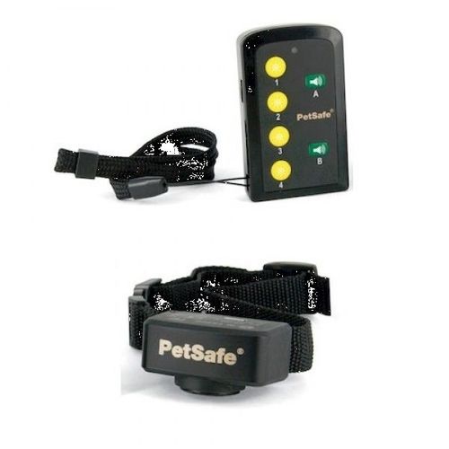 פטסיף קולר אילוף בסיסי לכלב – petsafe basic traini – תמונת מוצר ראשית