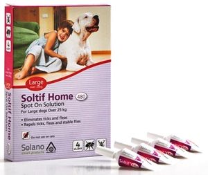 סולאנו סולטיף L ‏Soltif Home ,לכלבים שמשקלם 25+ ק"ג