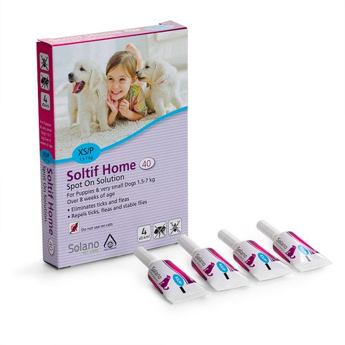 סולאנו סולטיף Soltif Home XS גורים, ובוגרים שמשקלם – תמונת מוצר ראשית