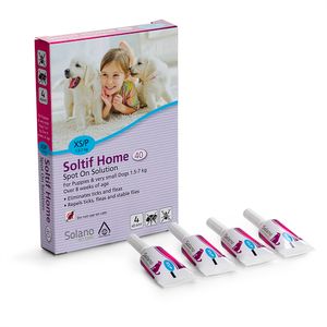 סולאנו סולטיף Soltif Home XS גורים, ובוגרים שמשקלם בין 1.5-7 ק"ג